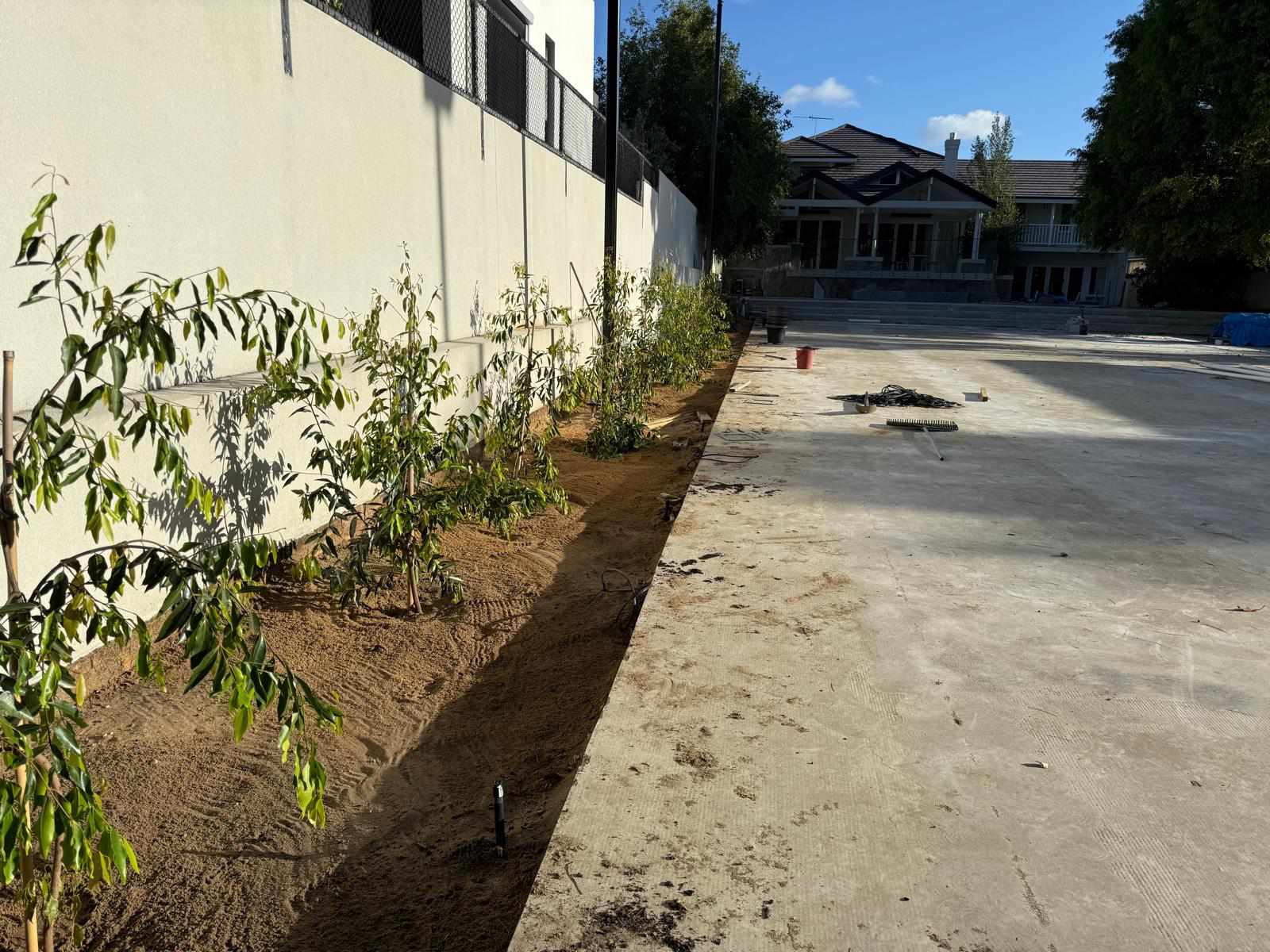 Tree planting project