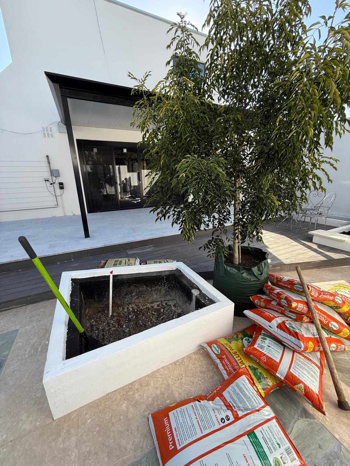 Tree planting project