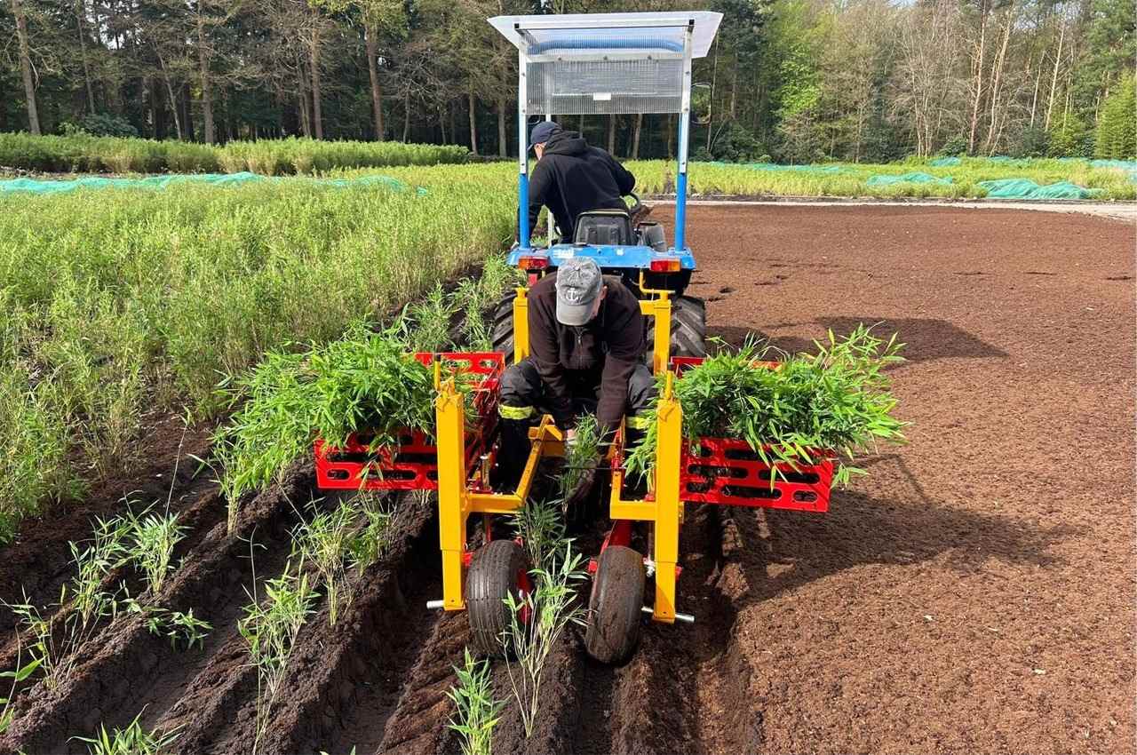 Machine Tree Planting services — Tree Planting CO