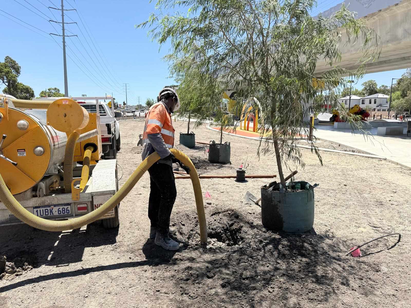 Machine Tree Planting services — Tree Planting CO